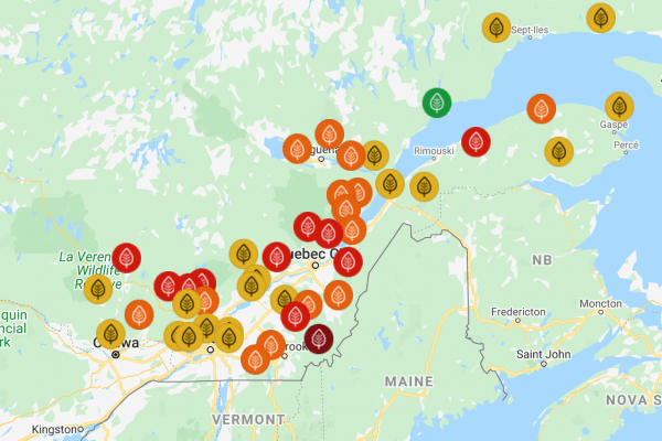 哪里枫叶开始红了 魁省赏枫地图已出
