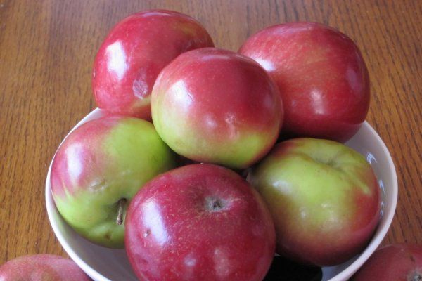 加拿大传奇苹果McIntosh将逐渐消失