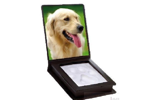 魁北克新创公司为离世宠物定制纪念品