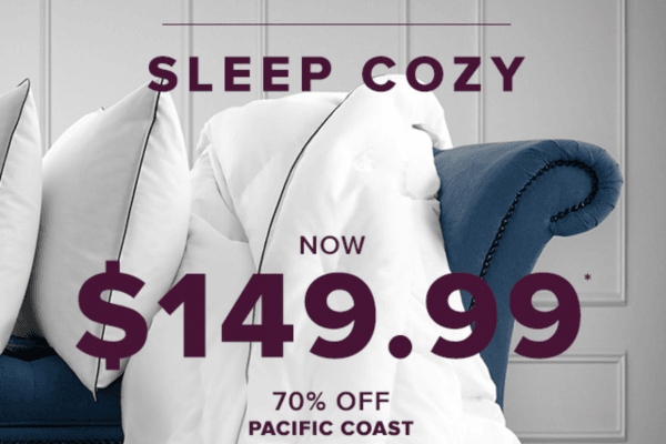 The Bay今日特价 鸭绒被只要149元 原价500