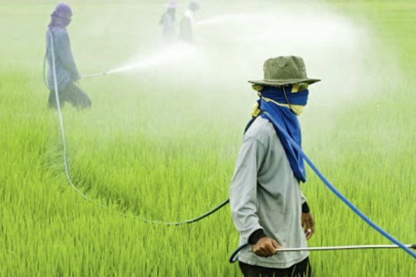 魁北克承认农药可能会导致帕金森症