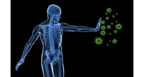 魁北克和加拿大能否建立起COVID-19群体免疫？