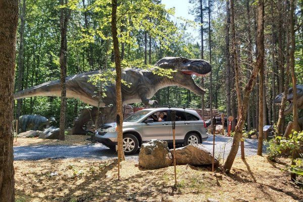 五项今年夏天可以在魁北克进行的趣味家庭活动