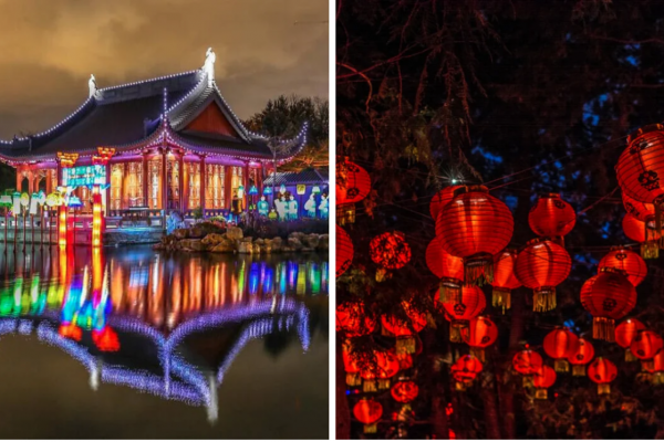 蒙特利尔植物园最受欢迎的灯光节9月回归