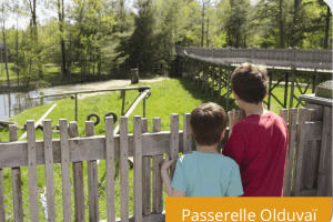 Safari动物园马上要开门了！