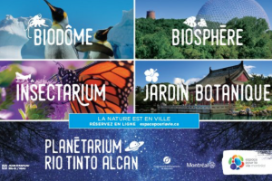 蒙特利尔植物园、天文馆、昆虫馆的票价都在打折
