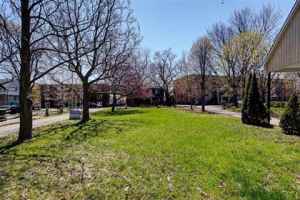 蒙特利尔今年春天为啥能闻到这么大的粪味？