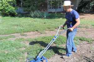 蒙特利尔南岸Saint-Bruno市政剪草规章引发争议