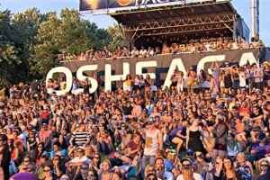 造假者利用庆典活动盗用个人信息