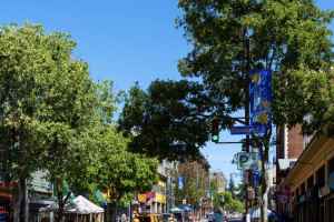 种树能否为房产增值？