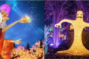 魁省Laval正在举办万圣节灯光秀