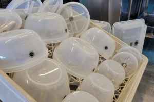 蒙特利尔大学将不再使用一次性塑料餐饮容器