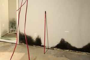 出租屋受霉菌和虫鼠侵袭 房东被判向租客赔付4万