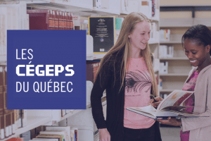 魁省英语CEGEP学院无法访问英语学生资格数据库