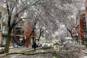 魁省水电局可以做些什么来防止下一次大规模停电