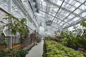 全新的蒙特利尔昆虫馆出现过热的问题