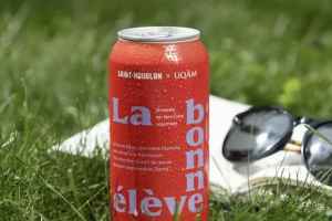 魁北克大学蒙特利尔校区推出的一款啤酒名字引争议