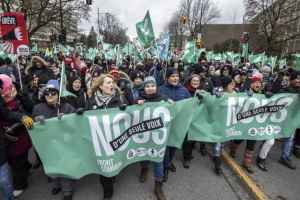 缓解教师罢工给家长带来压力的六个办法