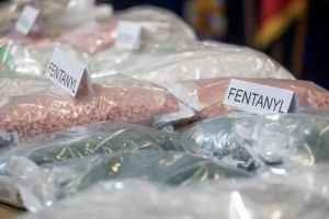 加拿大向芬太尼和墨西哥贩毒集团宣战