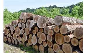 美国关税对魁北克建筑行业的影响