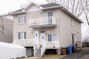 为赶走租客而假称分居的夫妇被罚5万