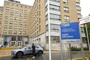 蒙特利尔一黑帮老大的儿子四年带薪停职引争议