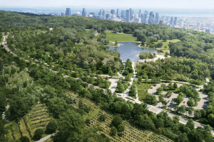 注定失败的皇家山车道改造项目