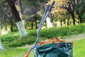 现在是为秋天耙落叶购买工具的好时候