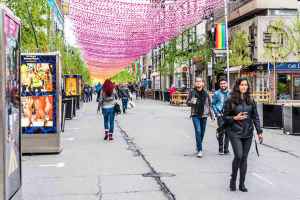 为什么年轻人都想搬离蒙特利尔岛？