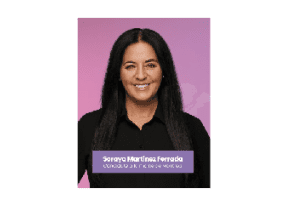 蒙特利尔2025年市政选举三大政党政纲