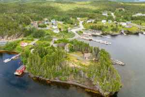 可乘坐公共交通工具到达的自然公园