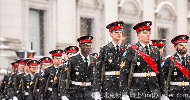 越来越多加拿大人加入军队服役