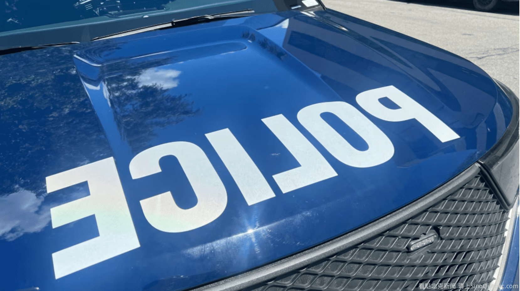 蒙特利尔缉毒行动 逮捕五名嫌疑人