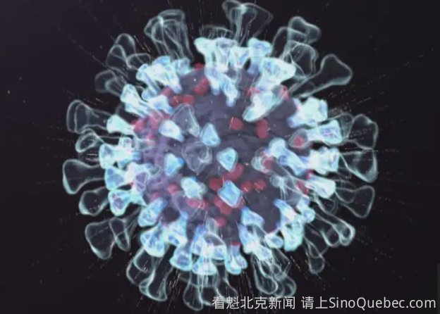 H3N2流感在加拿大迅速传播，可能引发心脏病和中风，如何防范？ ...