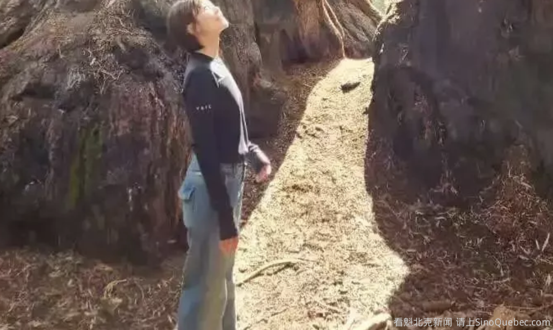 华裔女导演“以车为家” 途中遭盗车 全部家当一夜尽失