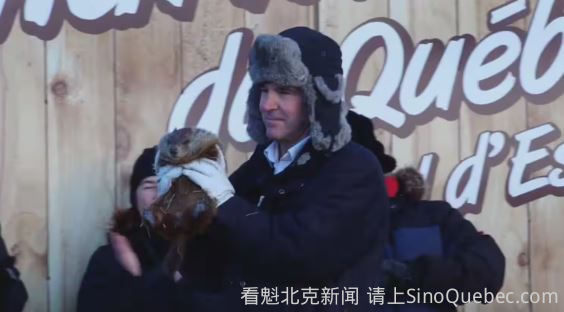 魁省土拨鼠做出预测