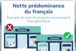 魁省语言检查员如何查找商家违规的信息？