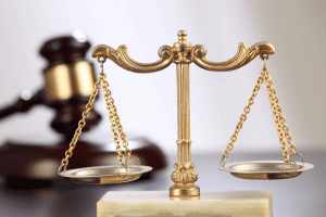 扔掉邻居小猫判赔1700元