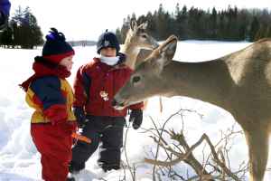 魁北克七家冬天开放的动物园