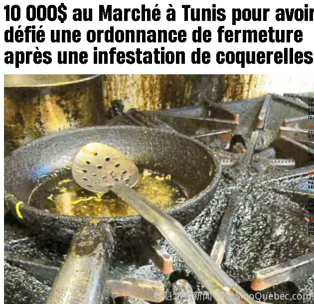 令人作呕 蒙特利尔一店被罚10000元