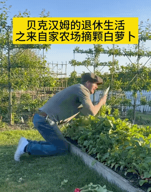 没想到明星的归宿原来是"种地",而豪宅的顶点居然是"农场"! ...