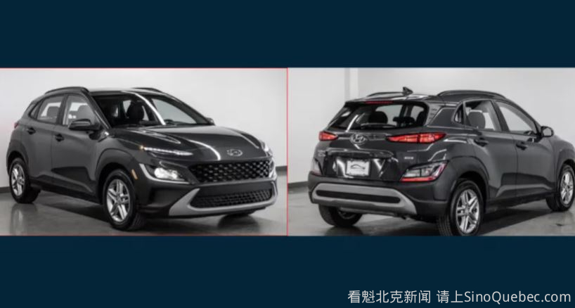 蒙特利尔两名儿童死亡 警方寻找目击者