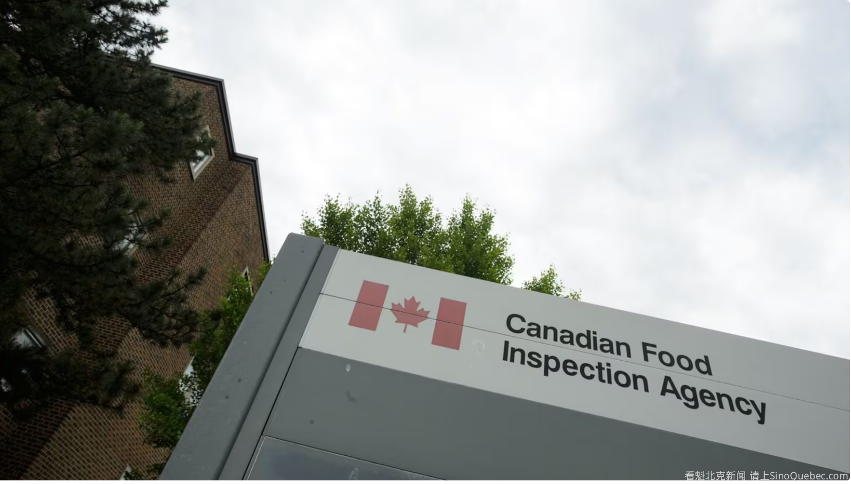 蒙特利尔南岸一家过敏检测实验室暂时不关了