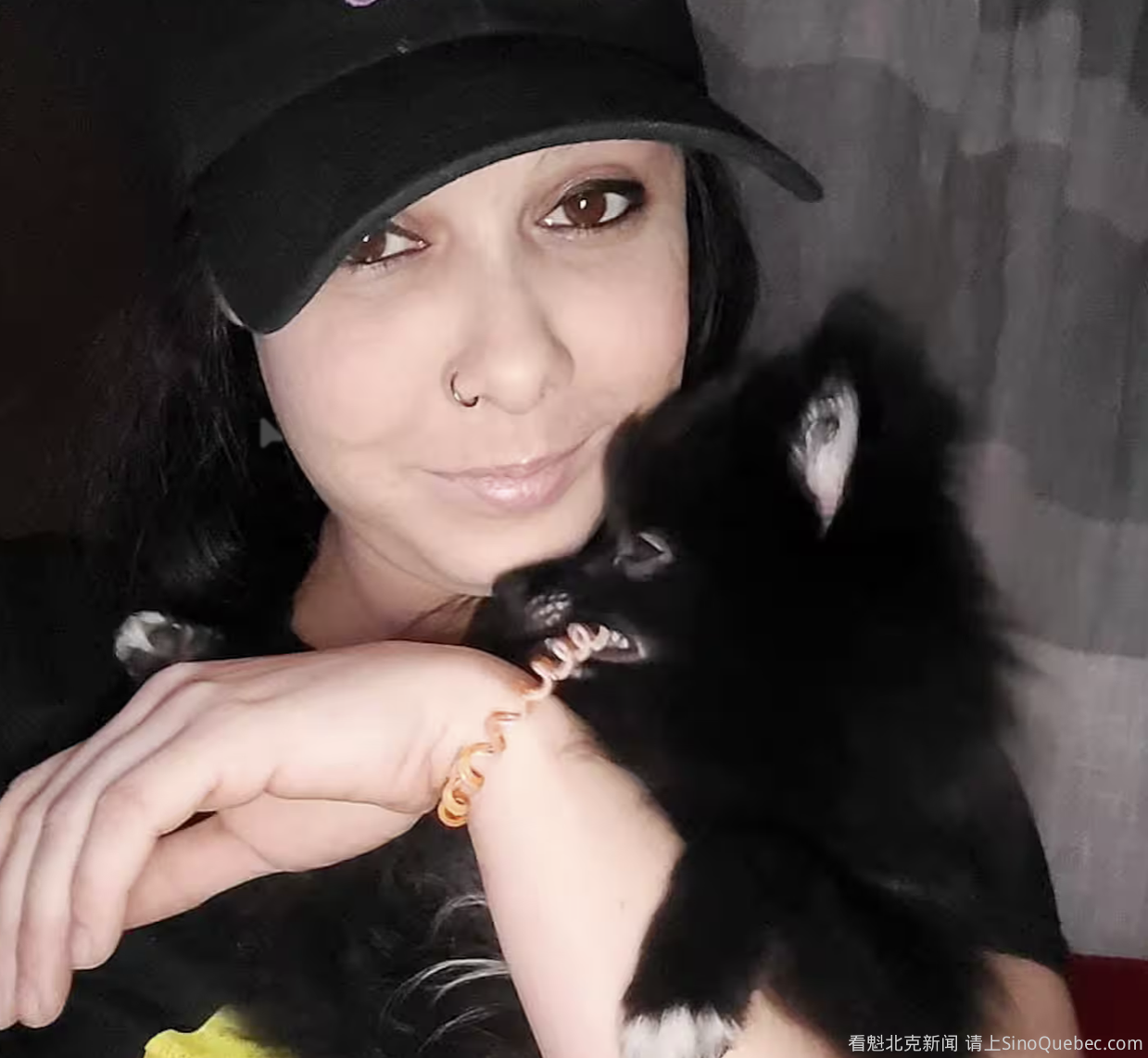 蒙特利尔女子的比特犬咬人 被判9个月