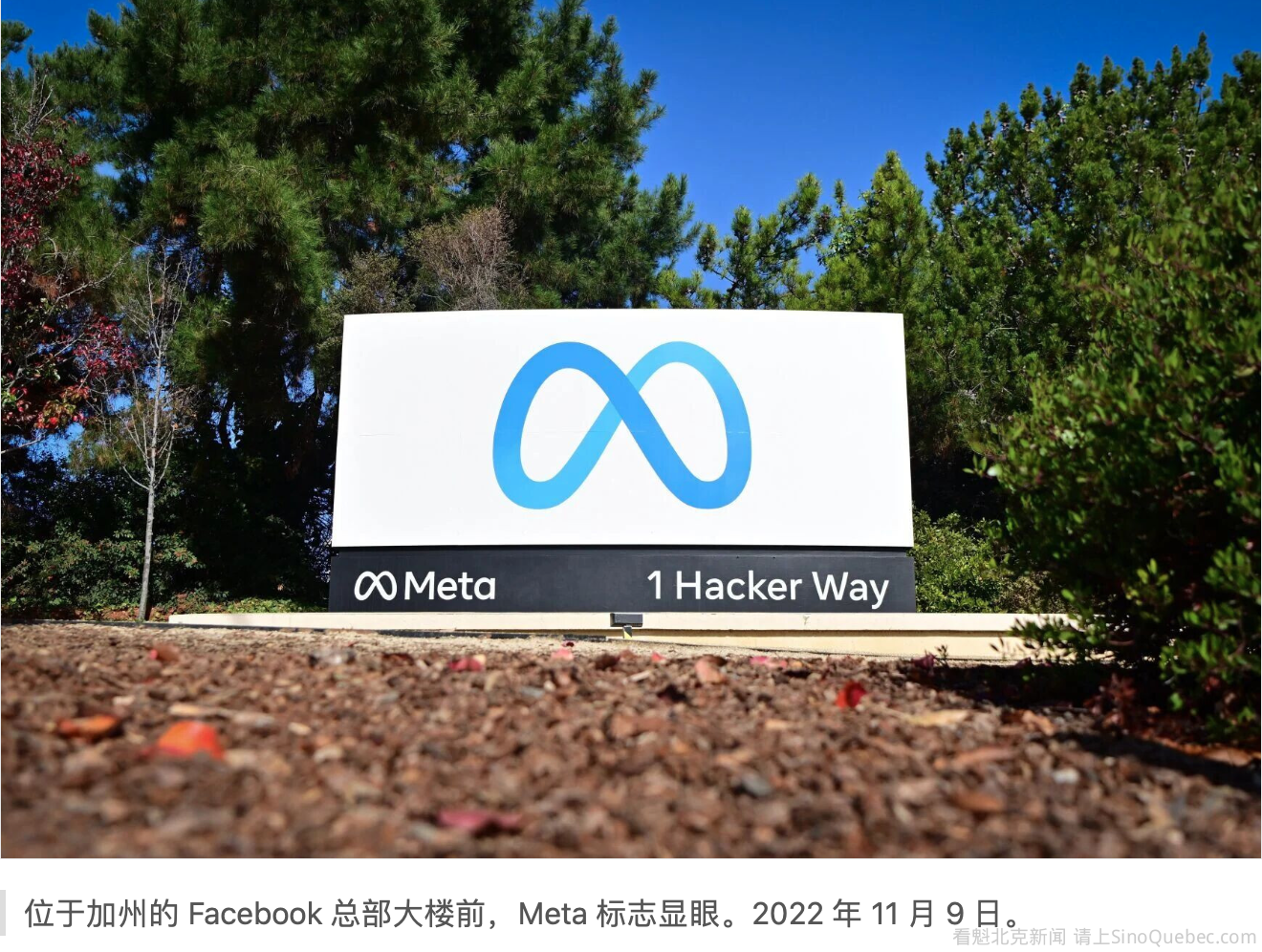 卡尼推出未成年人社交媒体禁令！16岁以下限制注册