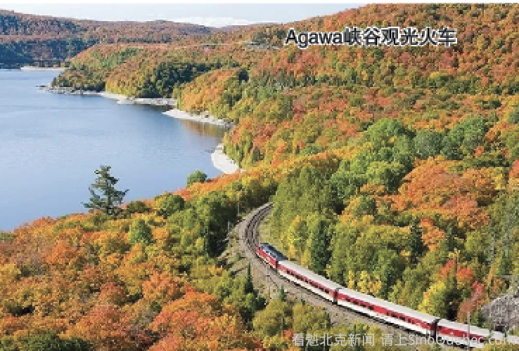 绝对值得体验的加拿大最美七条火车旅行线路