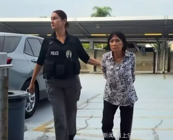 亚裔老太狗粮诱幼犬到车旁再碾过 监控拍下震惊社区