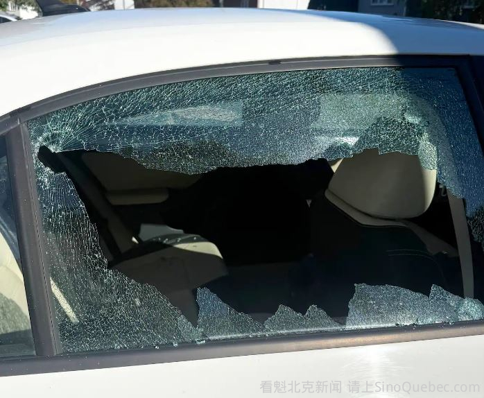 蒙特利尔西郊发生大规模恶意破坏！65辆汽车车窗被打碎